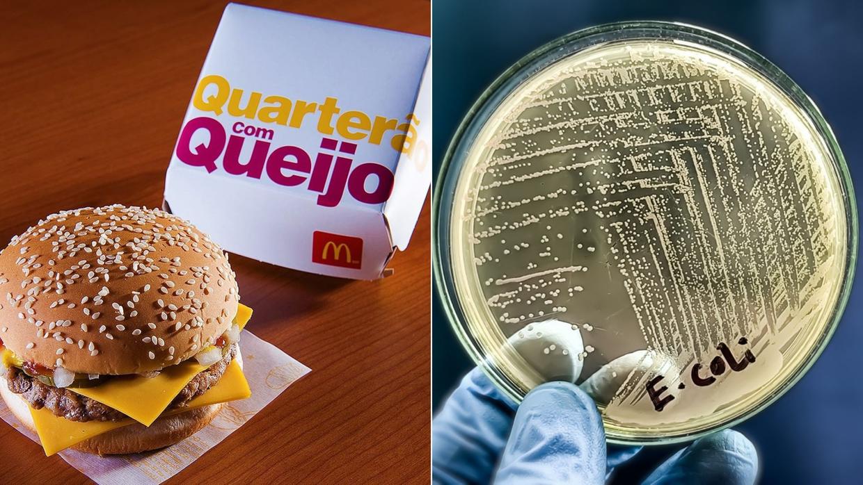 Você está visualizando atualmente O que é a E. coli O157, bactéria ligada ao lanche do McDonald’s