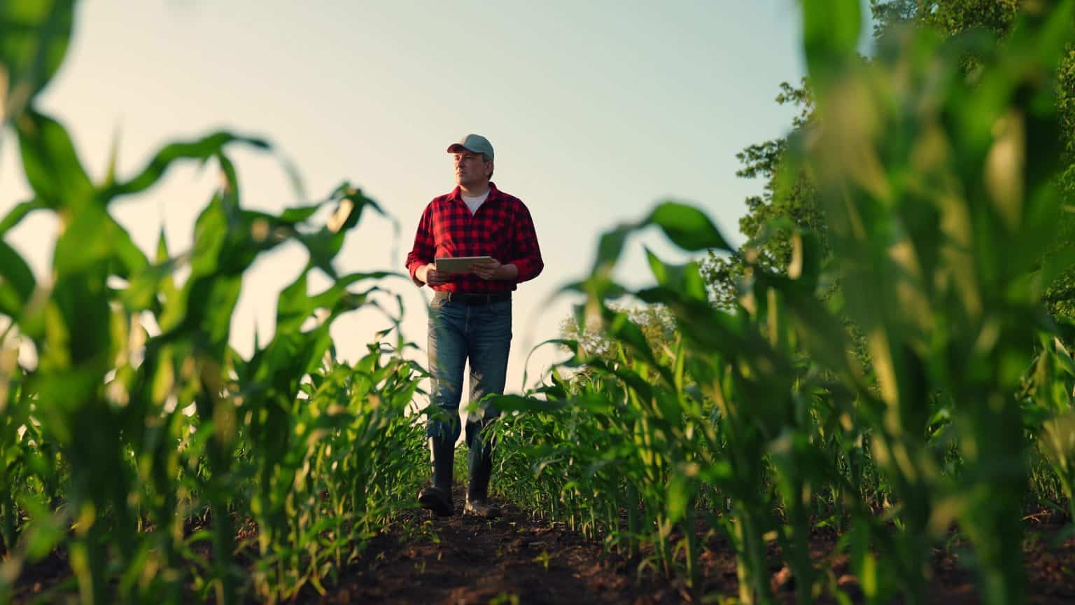 Você está visualizando atualmente O que é o E-agro e como funciona a plataforma para crédito rural?