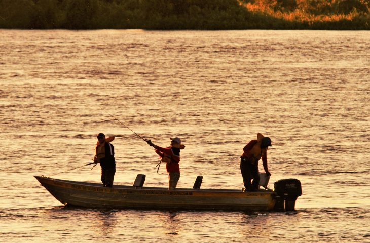 Você está visualizando atualmente Última semana: pesca fica proibida a partir de novembro com o início do período de defeso