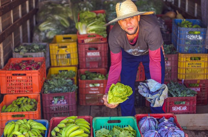 Você está visualizando atualmente SES celebra 10 anos do Guia Alimentar Brasileira com web aula