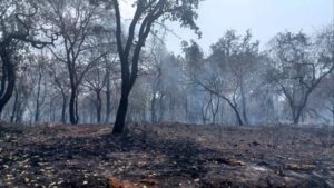 Leia mais sobre o artigo VILA JULIETA: Grande incêndio assusta moradores de Campo Grande