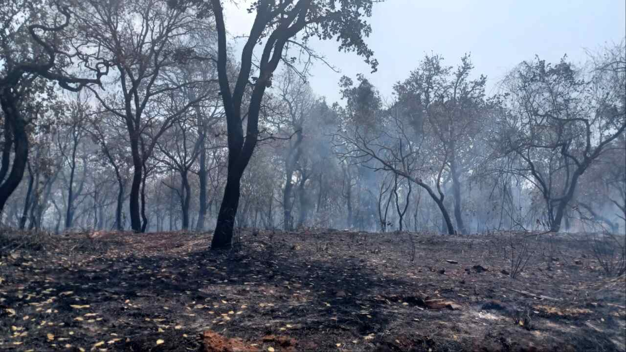 Você está visualizando atualmente VILA JULIETA: Grande incêndio assusta moradores de Campo Grande