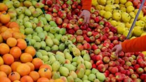 Leia mais sobre o artigo Brasil mira exportação de frutas, couro e máquinas agrícolas para Sudeste Asiático