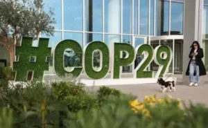 Leia mais sobre o artigo COP29 aprova mercado global de créditos de carbono