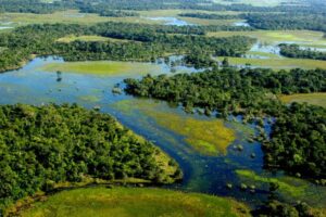 Leia mais sobre o artigo Dia do Pantanal destaca importância da preservação ambiental