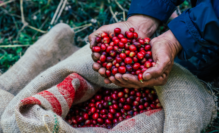 Você está visualizando atualmente Exportações do agro batem recorde em outubro e alcançam US$ 14,27 bilhões