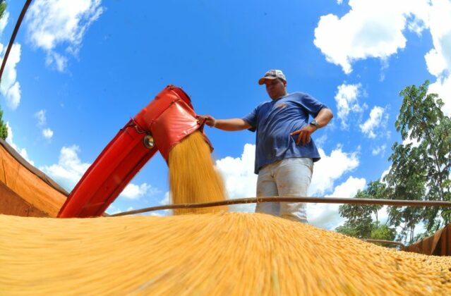 Você está visualizando atualmente Indicador de volume financeiro gerado pela produção agrícola tem queda em MS