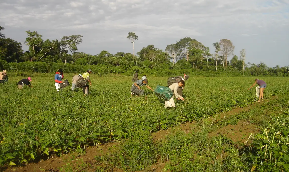 Você está visualizando atualmente Lula sanciona lei que autoriza R$ 500 mi para agricultura familiar