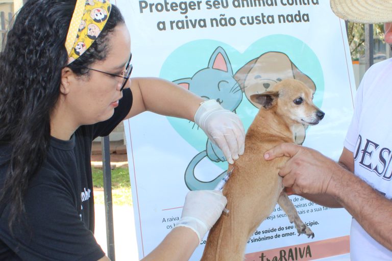 Você está visualizando atualmente Naviraí realiza Campanha Antirrábica nos dias 9 e 23 de novembro