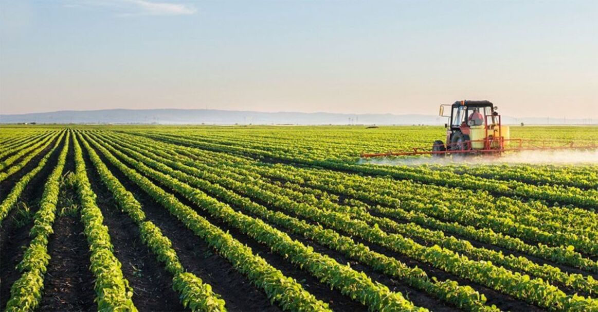 No momento, você está visualizando Brasil registra abertura de 300 novos mercados para o agronegócio