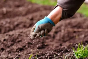 Leia mais sobre o artigo Comissão de Agricultura aprova projeto que zera PIS/Cofins para adubos e fertilizantes