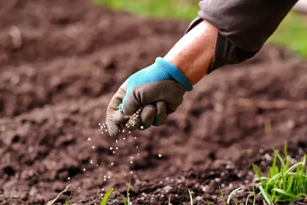 Você está visualizando atualmente Comissão de Agricultura aprova projeto que zera PIS/Cofins para adubos e fertilizantes