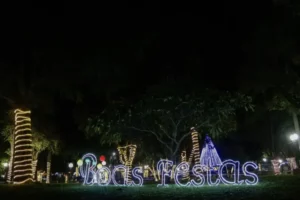 Leia mais sobre o artigo Decoração natalina no Jardim Progresso vira tradição em Naviraí