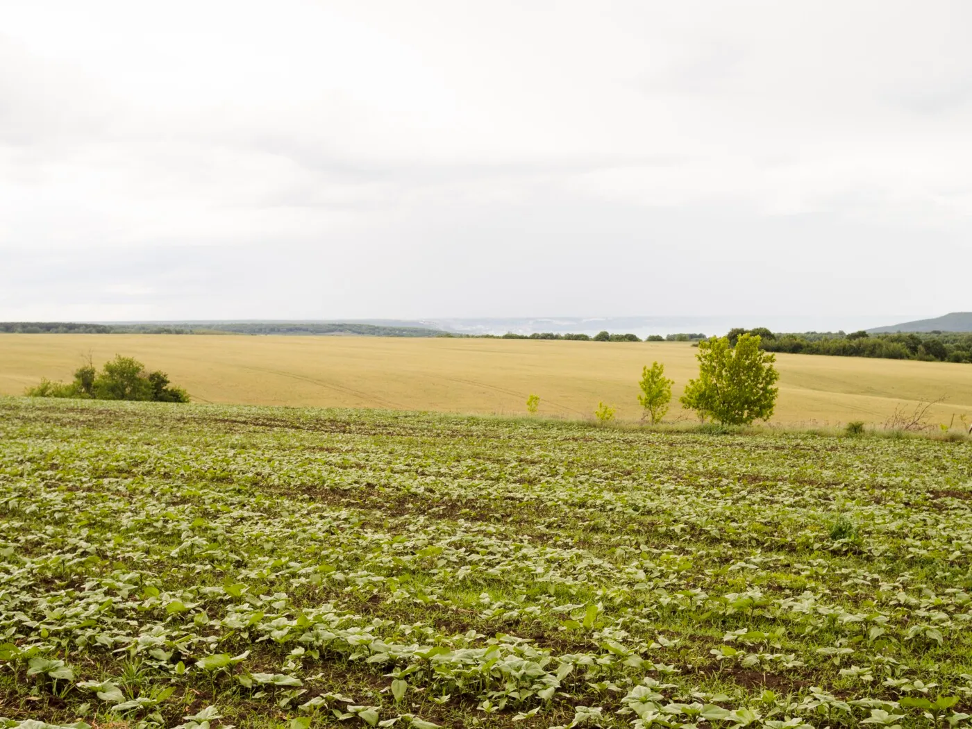 Você está visualizando atualmente Desafios e estratégias para enfrentar as mudanças climáticas no agro