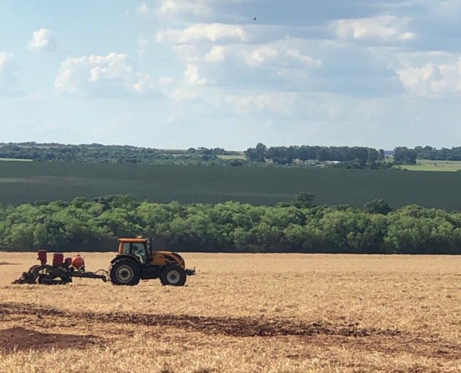 No momento, você está visualizando MS dá prazo para declaração da área plantada de soja