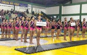 Leia mais sobre o artigo Naviraí recebeu o 2º Festival de Ginástica Artística Feminina