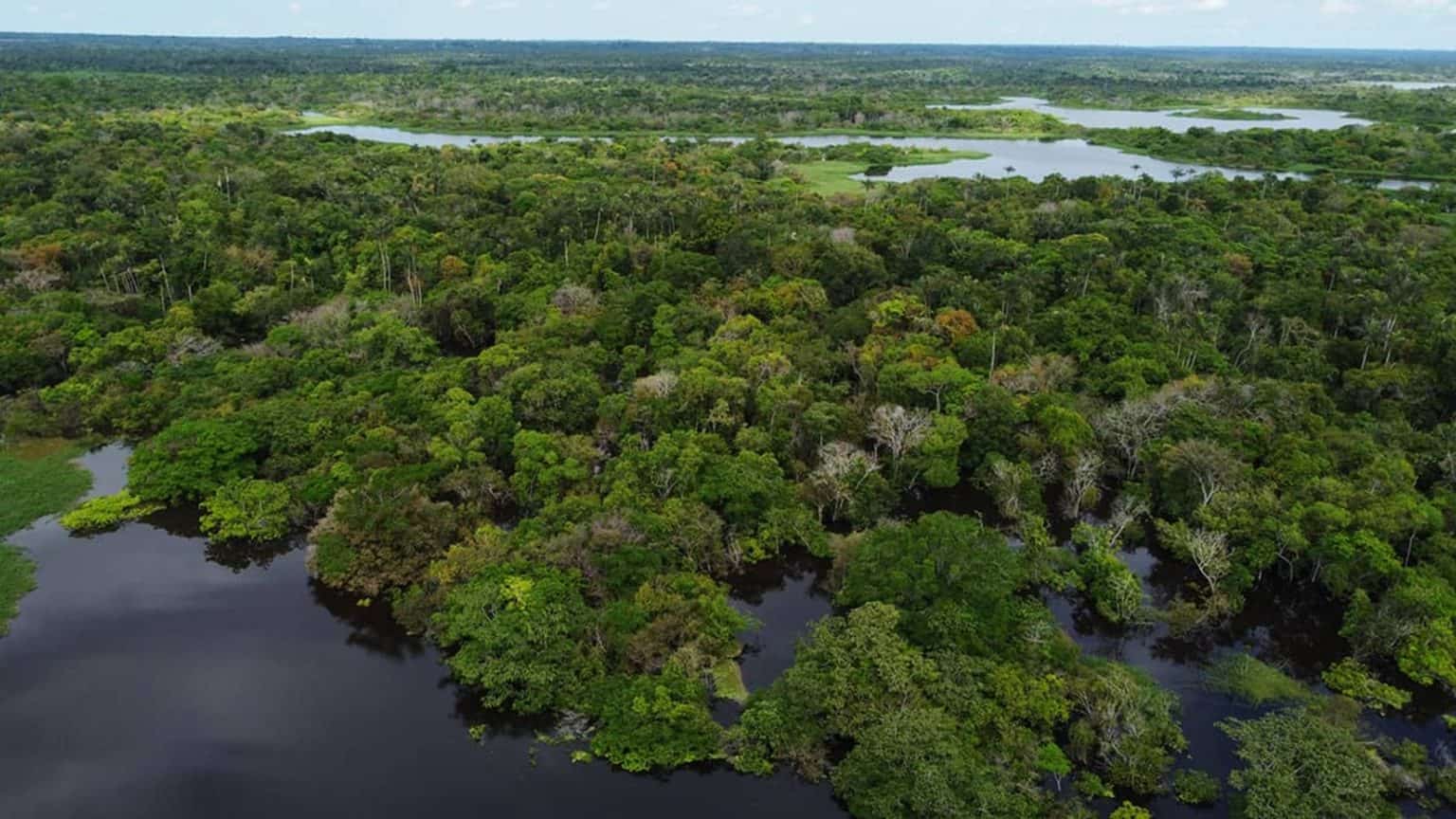 Você está visualizando atualmente 99ºC: Rio mais quente do mundo fica na Amazônia peruana e cozinha quem entra nele