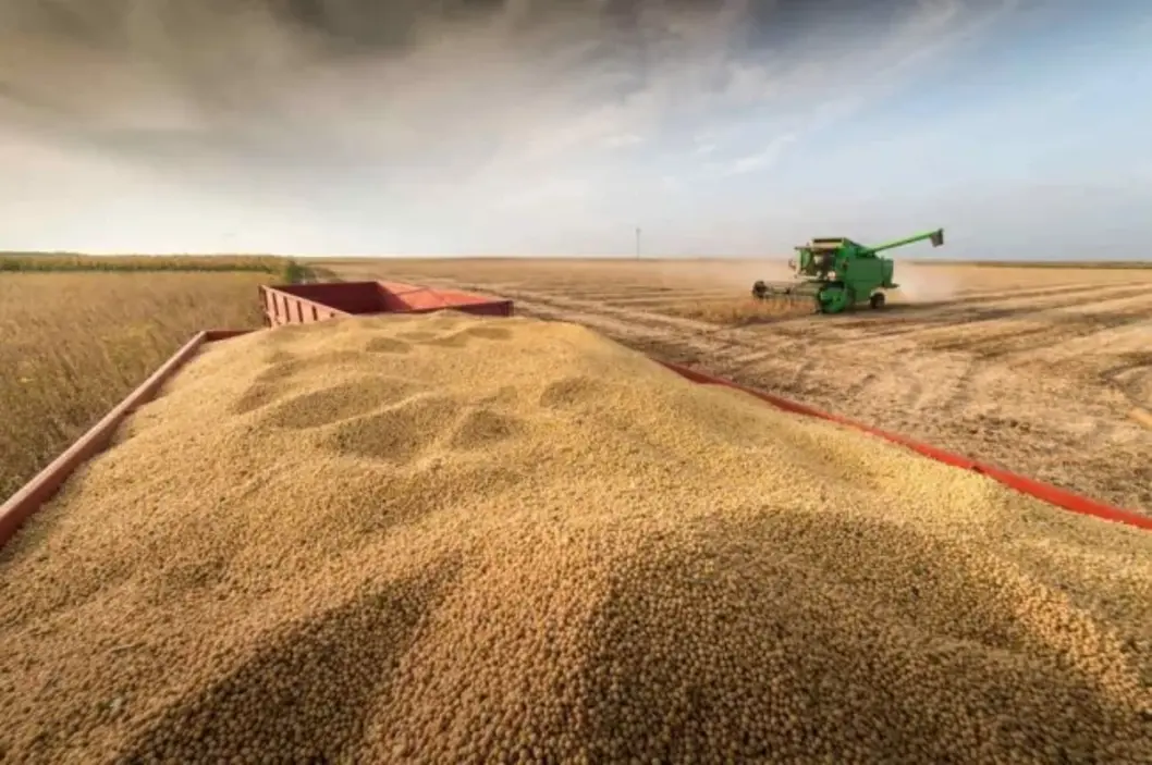 No momento, você está visualizando Safra recorde de soja expõe gargalos no Brasil