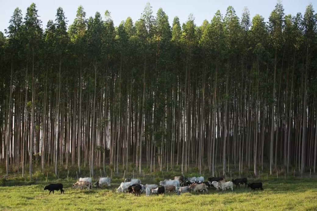 Você está visualizando atualmente AGRO: SRCG oferece cursos técnicos estratégicos para impulsionar a economia do MS