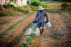 Leia mais sobre o artigo Entenda porque o agricultor brasileiro sofre da Síndrome do Cachorro Vira-Lata