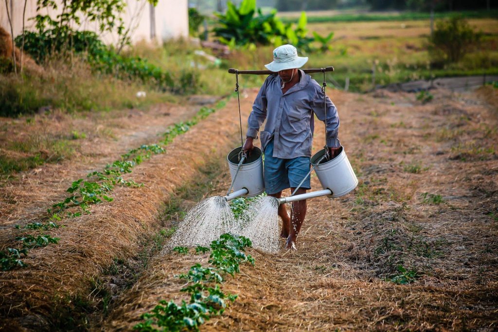 Você está visualizando atualmente Entenda porque o agricultor brasileiro sofre da Síndrome do Cachorro Vira-Lata