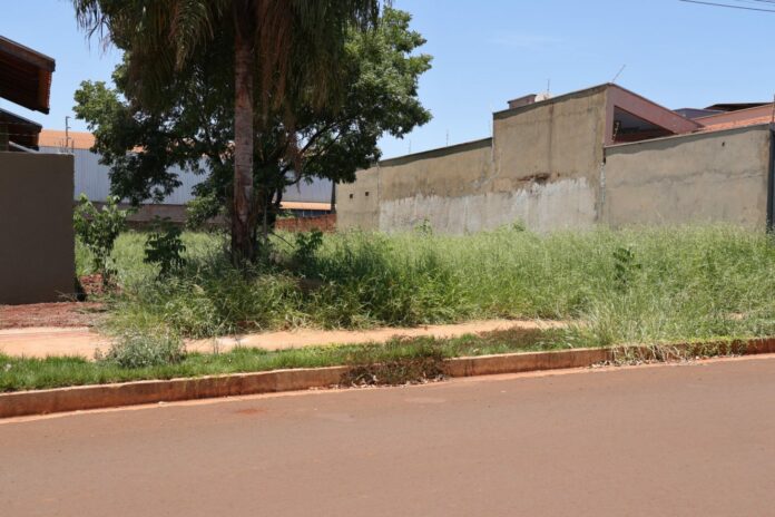 No momento, você está visualizando DOURADOS: Prefeitura dá prazo de 15 dias úteis para limpeza de terrenos baldios