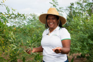 Leia mais sobre o artigo AGRO: Impactos positivos de vendas da agricultura familiar para programas institucionais são destacados em estudo