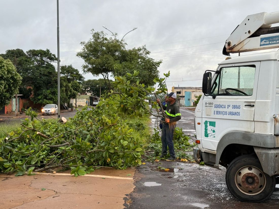 No momento, você está visualizando NAVIRAÍ: Prefeitura agiu rápido e restabeleceu o tráfego após temporal com quedas de árvores