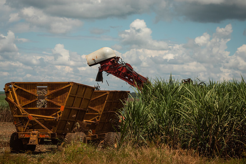 No momento, você está visualizando Para CNA, Paten reforça compromisso do agro com desenvolvimento sustentável