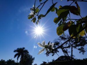 Leia mais sobre o artigo Quarta-feira será de sol, temperaturas elevadas e chuvas em Mato Grosso do Sul