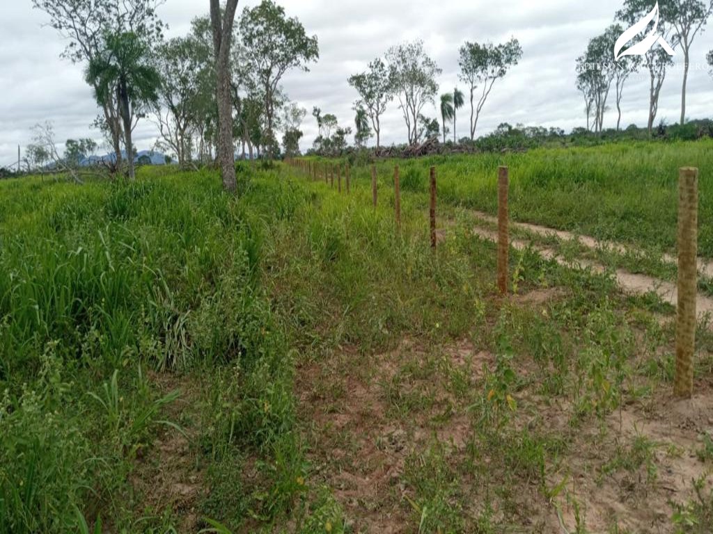 No momento, você está visualizando Fazendeiros da fronteira terão de refazer registro de 35 mil propriedades