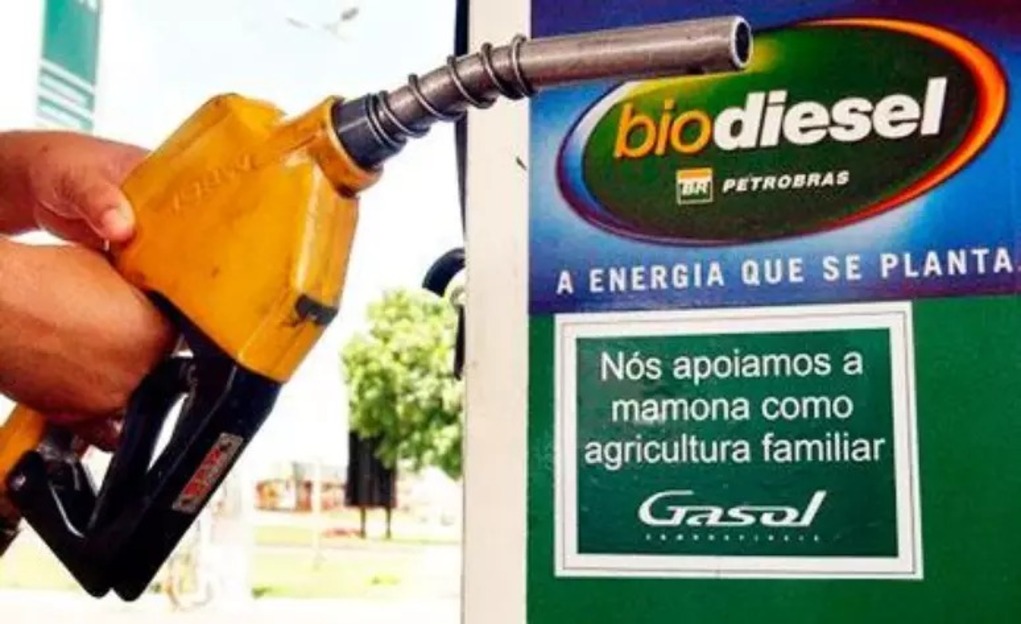 No momento, você está visualizando Governo discute segurar aumento da mistura de biodiesel no diesel para conter alta dos alimentos