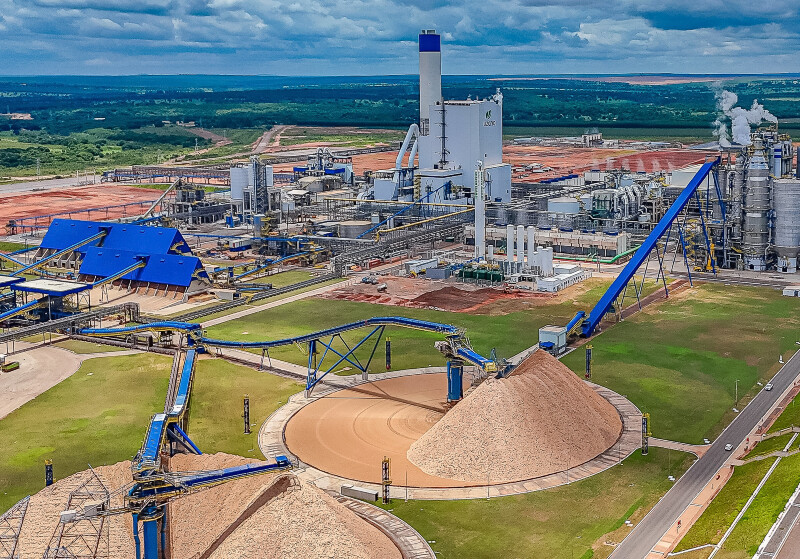 No momento, você está visualizando Usina da Suzano pode gerar energia por seis meses para MS