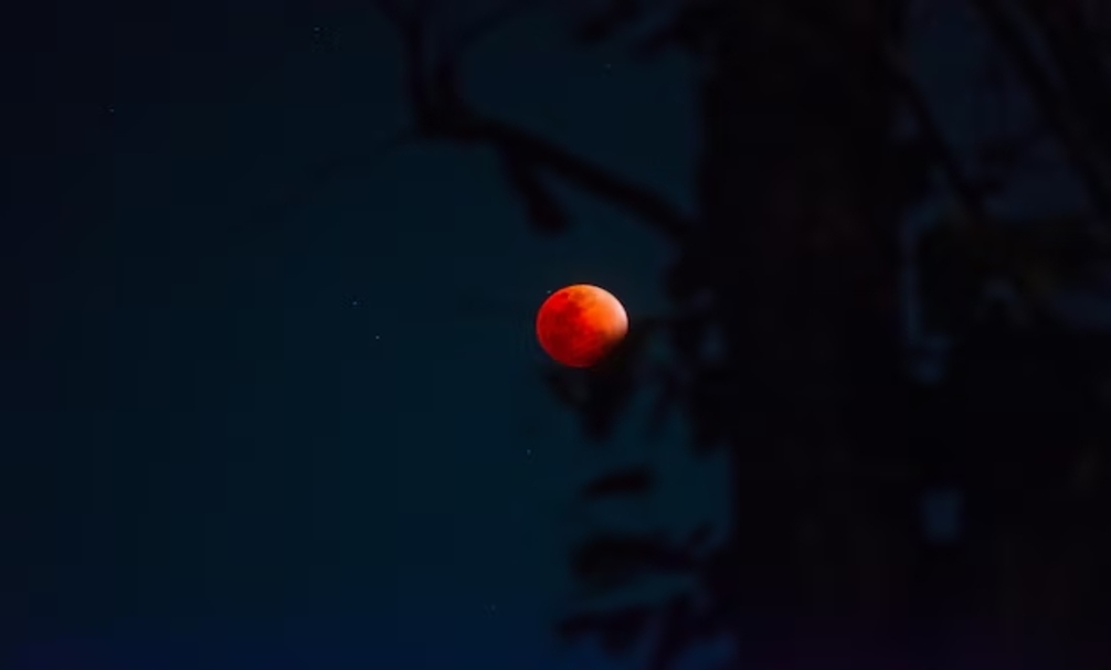 No momento, você está visualizando ECLIPSE DA LUA DE SANGUE: Onde e como ver o fenômeno no Brasil; evento mundial