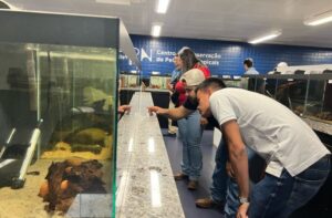 Leia mais sobre o artigo Bioparque promove turismo científico e experiência profissional para acadêmicos durante visitas técnicas