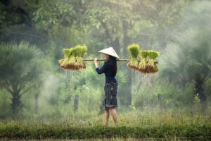 Leia mais sobre o artigo CHINA: a nova terra do agro! País vai transformar 90 milhões de hectares em terras agrícolas com foco em produção de grãos