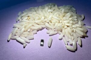 Leia mais sobre o artigo Médicos criam marcapasso menor que um grão de arroz