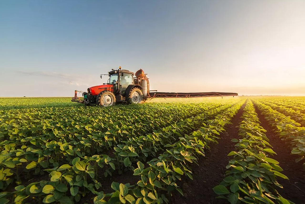 No momento, você está visualizando Agro avança 12,2% no 1º trimestre de 2025 e puxa crescimento do PIB