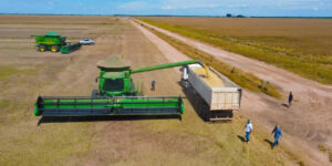 Leia mais sobre o artigo Agro em alta e indústria em queda; veja o raio-x do PIB do Brasil no 1º trimestre