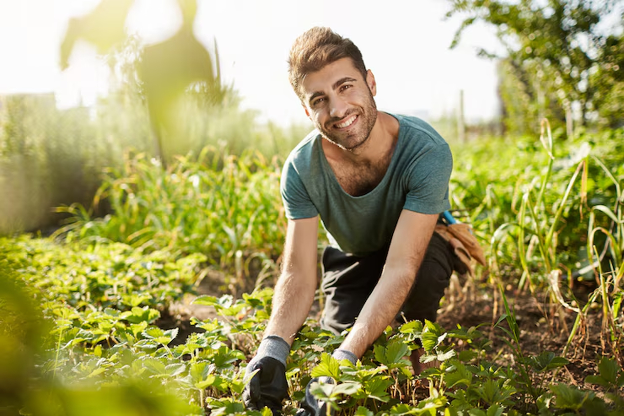 No momento, você está visualizando Câmara aprova projeto que estimula permanência de jovens no campo