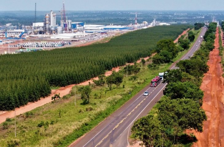 No momento, você está visualizando Governo de MS realiza leilão para concessão da Rota da Celulose nesta quinta-feira, 8