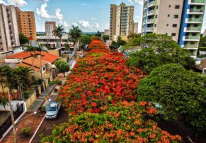 Leia mais sobre o artigo Dourados já faz pré-credenciamento para a 7ª Conferência Municipal das Cidades