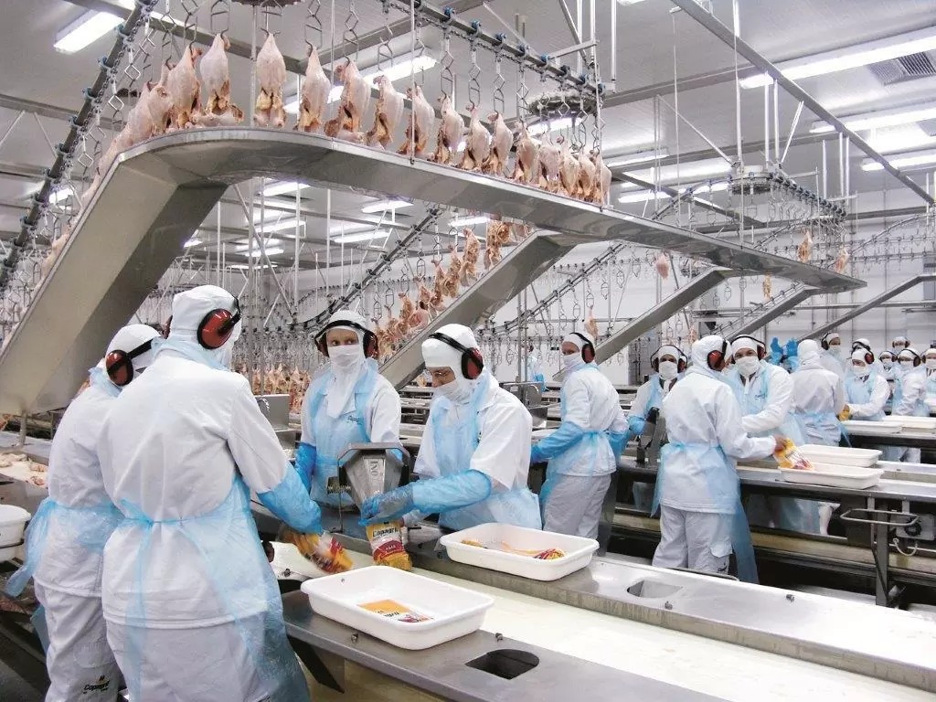 No momento, você está visualizando Europa, União Eurasiática e 30 países restringem compra de frango do Brasil