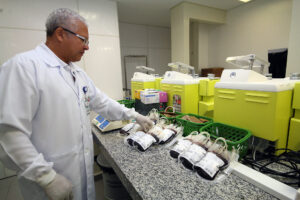 Leia mais sobre o artigo URGENTE: Hemosul de Dourados precisa de sangue dos tipos O-, O+ e AB+