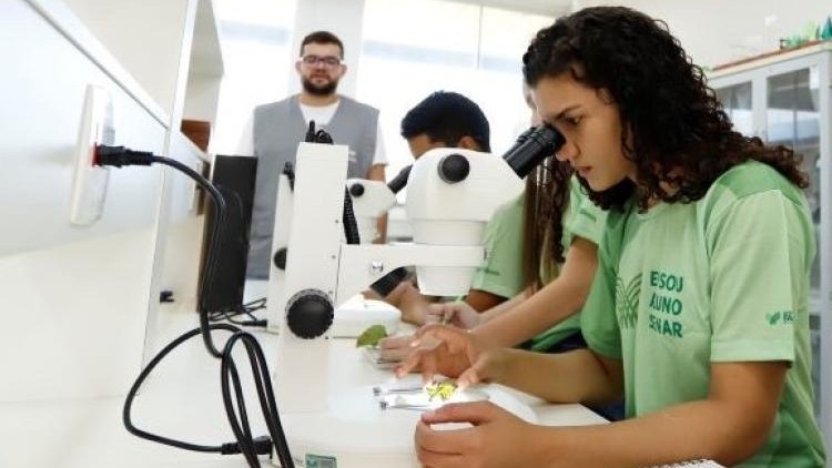 No momento, você está visualizando Senar-MS oferece 420 vagas gratuitas em cursos técnicos no setor agro