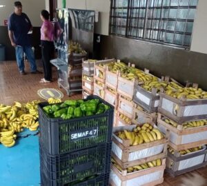 Leia mais sobre o artigo Prefeitura já distribuiu quase 10 toneladas de alimentos através do PAA