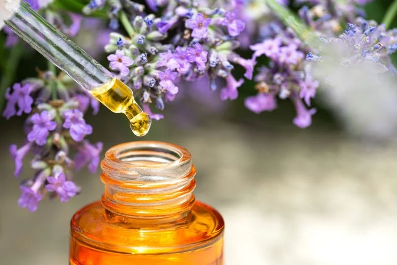 No momento, você está visualizando 6 marcas de cosméticos que levam o agro nos seus frascos