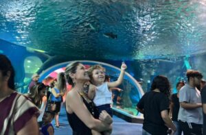 Leia mais sobre o artigo DIVERSÃO: Bioparque Pantanal é destino ideal para curtir o feriado com conhecimento e natureza, dias 13, 19 e 20