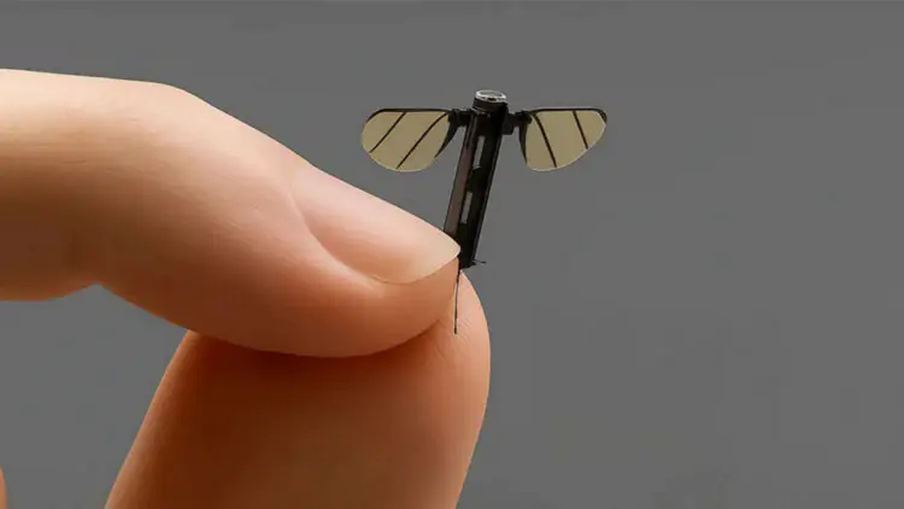 No momento, você está visualizando China apresenta microdrone espião do tamanho de um mosquito