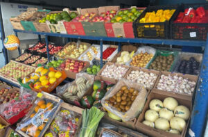Leia mais sobre o artigo Com frutas e hortaliças direto do campo, Ceasa tem papel crucial na saúde em MS